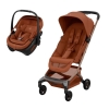 Fame Cabin e Coral Slide Pro Cooper Terra da Maxi Cosi 1 Fame Cabin e Coral Slide Pro Cooper Terra da Maxi Cosi 1
